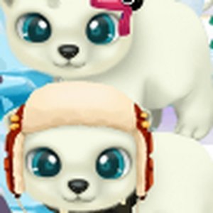 Frosty Pet Stylist Journey