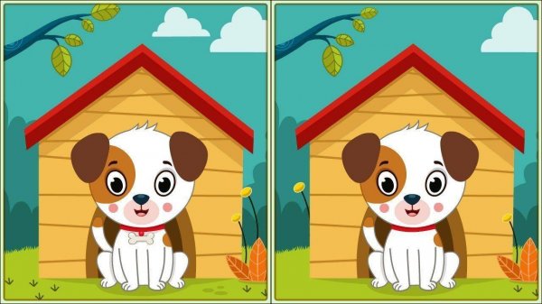 Spot 5 Differences - Find The Difference Puzzle Game Online