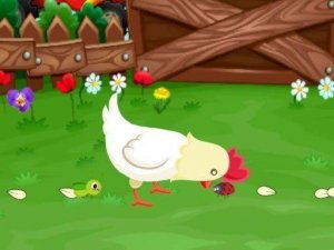 Sunny Coop Egg Harvest