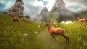Deer Observation Arcade Quest