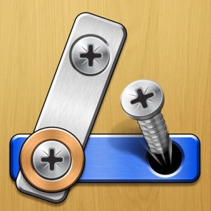 Screw Master: Pin Puzzle Online Game