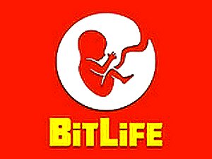 BitLife Life Simulator Game