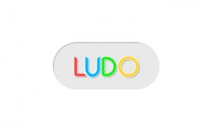 Ludo Classic Family Board Game