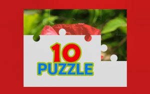 Traffic Control: Road Manager Online Puzzle Game