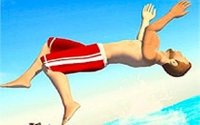 Flip Diving Arcade Game