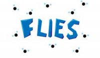 Flies Multi-Task Challenge Online Arcade Game