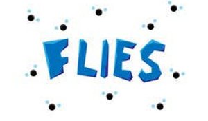 Flies Multi-Task Challenge Online Arcade Game