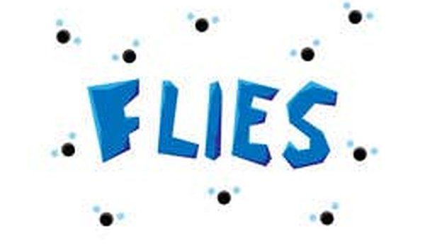Flies Multi-Task Challenge Online Arcade Game